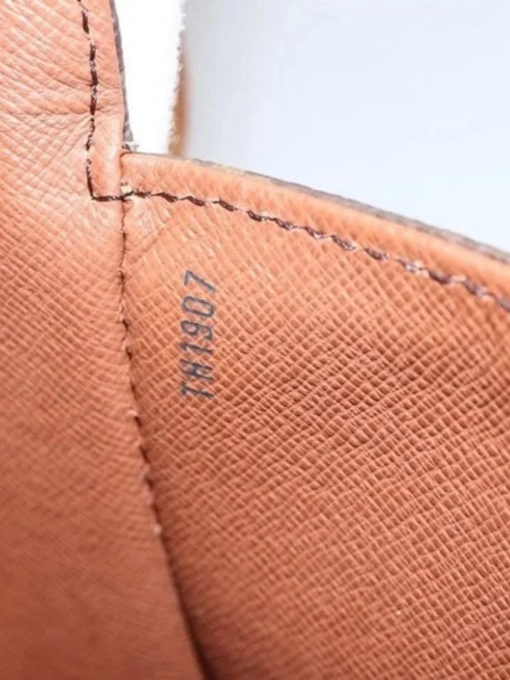 Louis Vuitton brand louis